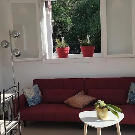 3 Pieces Avec Terrasse Au Soleil Apartment